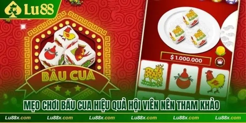 “Bỏ túi” một vài mẹo cược hiệu quả, tiền về đầy túi