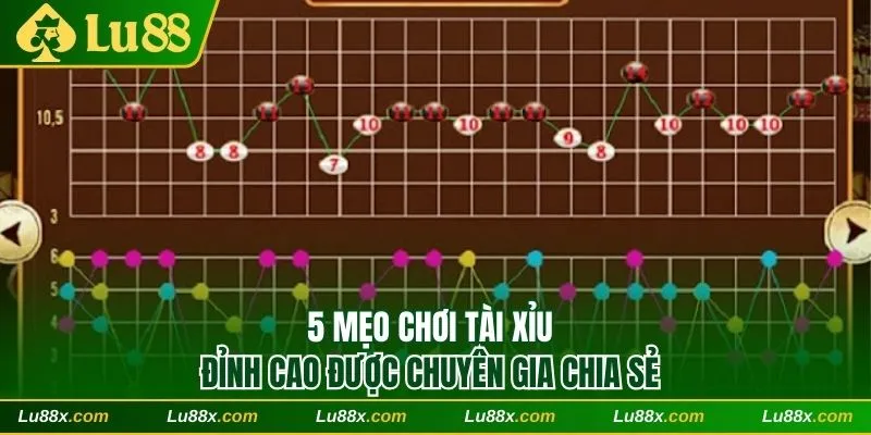 5 mẹo chơi tài xỉu đỉnh cao được chuyên gia chia sẻ