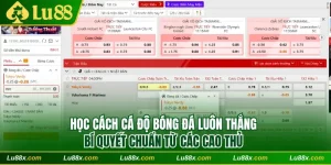 Cách cá độ bóng đá luôn thắng Lu88