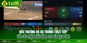 Đá gà thomo Lu88
